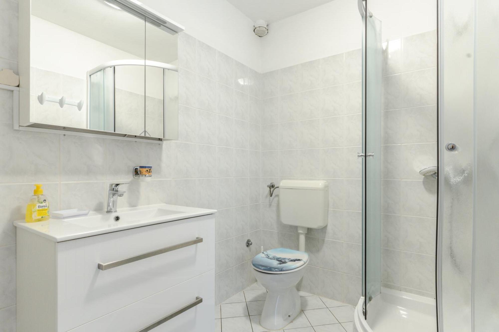 Sunny Apartment Valbandon 파자나 외부 사진