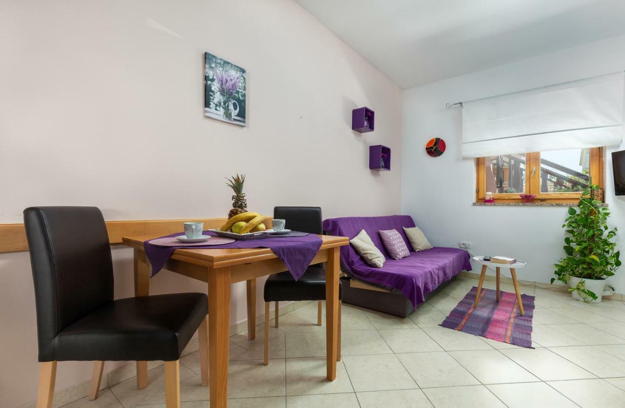 Sunny Apartment Valbandon 파자나 외부 사진